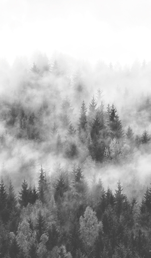 Marburger Tapete 47268 2,70 x 1,59 m Smart Art Easy 2026